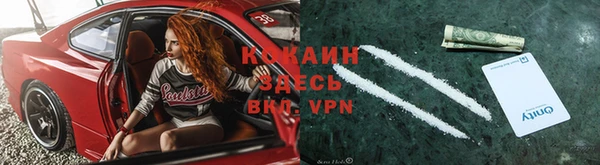 прущие грибы Армянск