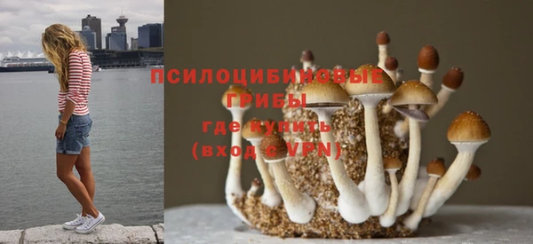 винт Алзамай