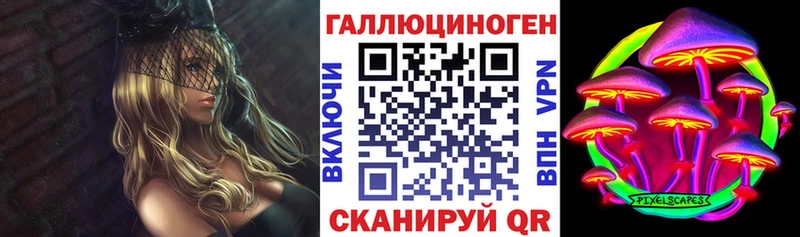 Купить Бирск Галлюциногенные грибы Psilocybine cubensis